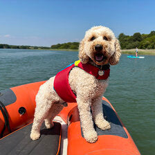 Spinlock FIDO Dog Flotation Aid