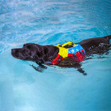 Spinlock FIDO Dog Flotation Aid